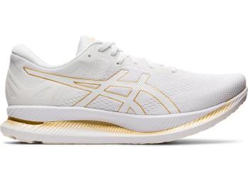 Asics GLIDERIDE Herre Løpesko NO093WP